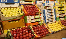 Fruits et légumes frais: les exportations enregistrent de "bonnes performances"Fruits et légumes frais: les exportations enregistrent de "bonnes performances"