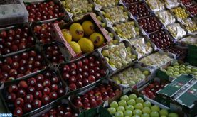 Approvisionnement régulier du marché en différentes denrées alimentaires satisfaisant largement les besoins