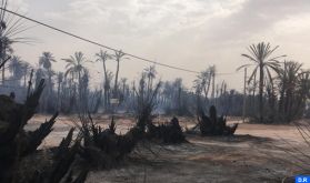 Guelmim: Plusieurs palmiers ravagés par le feu dans l'oasis de Tighmert