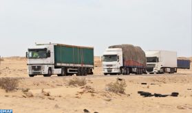 Djibouti exprime son plein soutien aux mesures prises par le Maroc pour assurer la circulation des marchandises et des personnes à travers El Guerguarat