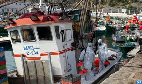 Covid-19: Vaste opération de désinfection des bateaux de pêche au port d'Al Hoceima