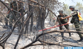 Province de Chefchaouen : l'incendie de la forêt "Akemsane" dans la commune de Bab Berred maîtrisé
