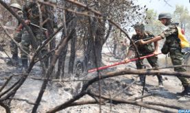 Taounate: Poursuite des efforts pour la maîtrise de quatre foyers d'incendie à la forêt "Khandek Tessyana" (sources locales)