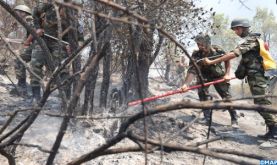 Provinces de Fahs-Anjra: 35 hectares ravagés par l'incendie déclaré au douar "Oued El-Rmel", poursuite des efforts pour le circonscrire (sources locales)