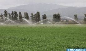 Béni Mellal-Khénifra : La superficie équipée en irrigation localisée est passée de 14.234 Ha en 2008 à 61 mille ha en 2023