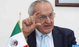 Le secrétaire d'État mexicain Jesús Seade, candidat à la tête de l'OMC