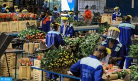 ZLECAF: Le Kenya booste sa performance industrielle