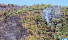 M'diq-Fnideq : L’incendie de la forêt "Kodiat Tifour" presque entièrement circonscrit