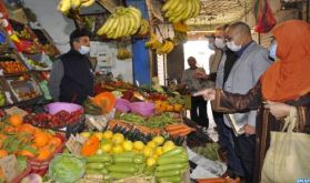 Province de Taourirt : Une offre abondante sur les marchés