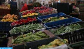 Suivi rigoureux et régulier des prix et de la qualité des produits alimentaires dans les différents Souks et points de vente d'Al Haouz