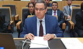 Le Maroc, vice-Président du Sous-Comité de l'Union africaine sur les questions environnementales