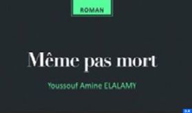 "Même pas mort", nouveau livre de Youssef Amine El Alamy, paru aux éditions Le Fennec