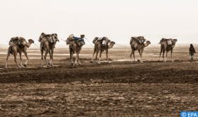 La vie des nomades du Sahara marocain à l'honneur sur la télévision espagnole