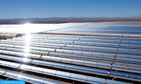 Le Maroc en tête des pays africains dans le domaine des centrales d'énergie propre (site spécialisé)