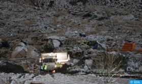 Glissement de terrain en Norvège: quatre morts, six disparus (nouveau bilan)