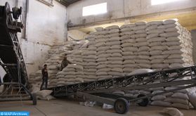 Youssoufia : Distribution de 45.000 quintaux d'orge subventionnée au profit des éleveurs
