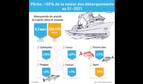Pêche: Hausse de la valeur des produits commercialisés de 35% au S1-2021 (ONP)