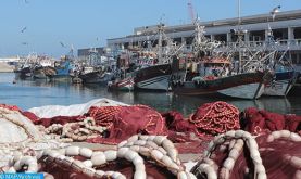 Port d'Essaouira : Hausse de 94% des débarquements de la pêche côtière et artisanale à fin mai (ONP)