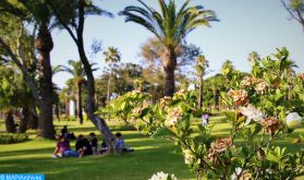 Le Maroc, un modèle pour les pays africains en matière de protection de l'environnement (ambassadeur autrichien)