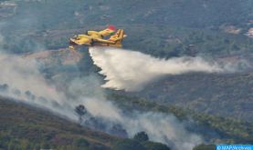 Tanger: L'incendie de la forêt de Cap Spartel circonscrit à environ 85%