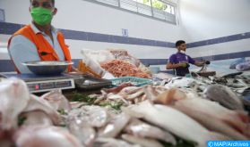 Tan-Tan: Abondance de l'offre et forte demande sur les produits de la mer