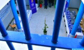 Laâyoune: Les détenus des établissements pénitentiaires formés à la réinsertion post carcérale