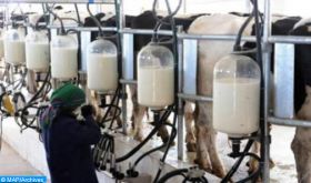 Ramadan: Les produits d’origine animale disponibles en quantités suffisantes et à des prix stables (ministère)