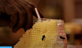 L'apiculture, un créneau pour l'amélioration du revenu agricole