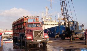 Sidi Ifni contribue à hauteur de 2,5 pc au chiffre d’affaires des ports du Royaume (ONP)
