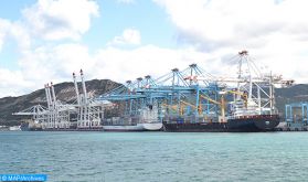 Tanger Med s'associe à l'initiative des plus grands ports au monde pour garantir la continuité des chaînes logistiques internationales