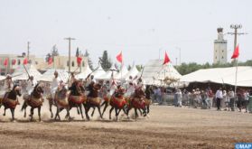 Province de Guercif : la commune de Taddart à l’heure de son Festival de Tbourida