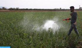 Pesticides à usage agricole: les autorisations soumises à un réexamen régulier (ONSSA)