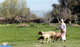 L’agritourisme au Maroc, une belle échappatoire à promouvoir