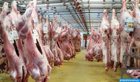 Settat: production de 20.000 tonnes de viandes rouges par an