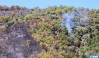 M'diq-Fnideq : L’incendie de la forêt "Kodiat Tifour" presque entièrement circonscrit